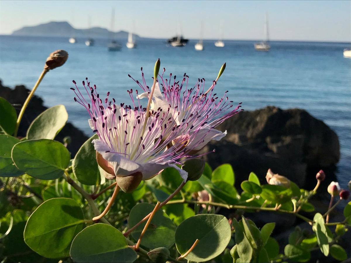 אסראלה Zaffiro Lavico Rooms Etna Nature Sea מראה חיצוני תמונה